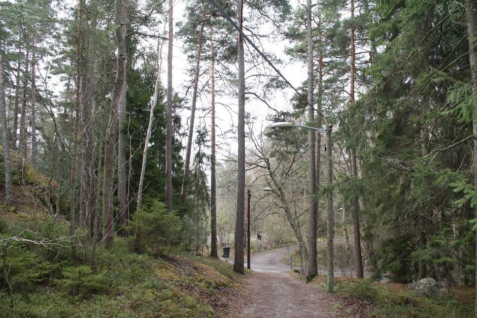 Sida 13 (40) Grusad motions- och promenadslinga norr om parkeringen i Ålstensskogen Geotekniska förhållanden Markförhållanden Jordlagerföljden består allmänt av glacial lera och urberg.