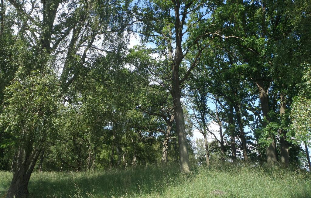 8 Objekt B utgörs av