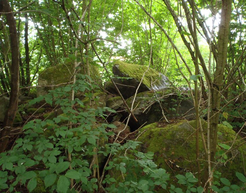 2 Naturmiljö och naturvärde I detta kapitel beskrivs inventeringsområdets naturmiljöer och naturvärde.