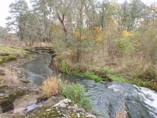 565. Afsån, Rydaholm Datum: Kommun: Vara 2015-10-21 Koordinat:6466250/1331650 0-10 m uppströms fall på åns östra sida vid Tjust. Tidigare längre nedströms vid Rydaholm (västra sidan).