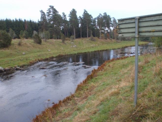 630. Hornborgaån, Fjällåkra Datum: Kommun: Falköping 2015-10-21 Koordinat:6465955/1370730 Ca 25-35 m uppströms bron längs västra sidan mot vägen.
