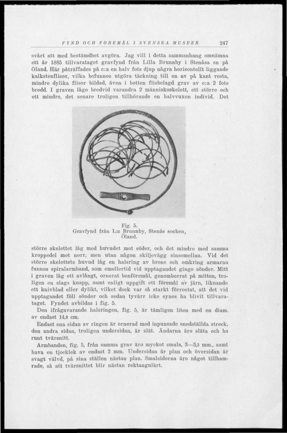 FYSD OCH FOR E U ÅL I S V E S S K A M U S E E R 247 svårt att med bestämdhet avgöra. Jag vill i detta sammanhang omnämna ott år 1885 tillvarataget gravfynd från Lilla Brunnby i Stenåsa sn på Öland.