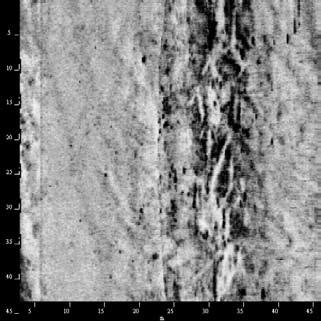 Objektbild Objektinformation Beskrivning ID0009 Sonar Time at Target: 06/03/2004 08:52:18 65 46.94348 N 023 17.23951 E (WGS84) (X) 604 679,22 (Y) 7 297 561,04 analys 1272-2010-51\XTF\5_6\SYD_+150_015.