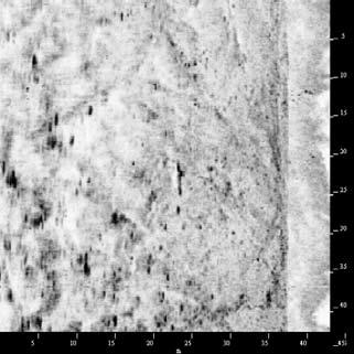 XTF Ping Number: 808 Range to Target: 18,65 meter Fish Height: 6,01 meter Line Name: NORD_-60_004 ID0026 Sonar Time at Target: 06/02/2004 22:24:28 65