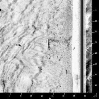 XTF Ping Number: 1531 Range to Target: 22,24 meter Fish Height: 9,05 meter Line Name: NORD_-90_005 ID0027 Sonar Time at Target: 06/02/2004 22:26:02 65