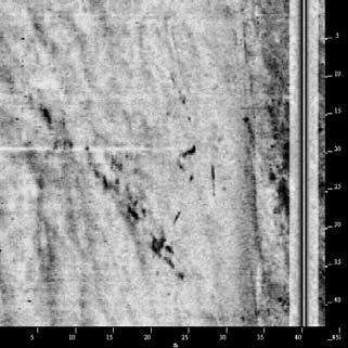 XTF Ping Number: 2848 Range to Target: 19,73 meter Fish Height: 4,39 meter Line Name: NORD_+30_031 ID0031 Sonar Time at Target: 06/03/2004 14:28:53 65 47.