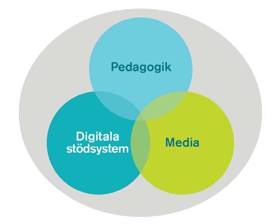 Vår styrka är att: vi arbetar på ett holistiskt sätt vad gäller stödet till utvecklingen av moderna lärmiljöer där pedagoger, mediaexperter och systemansvariga ofta arbetar i team både vad det gäller