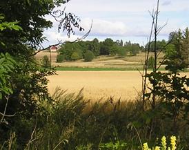 FRÅN NÄRKESLÅTTEN