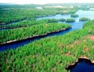 BOREALT LANDSKAP OVANFÖR HK NEMORAL BYGD NEDANFÖR HK TRADITIONELL BRYTNING Att det är stor skillnad mellan länets båda naturliga regioner avspeglar sig tydligt i