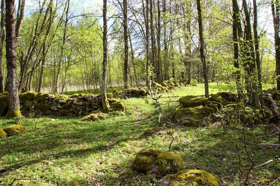 Om fastigheten Typ: Fritidsjorbruk Mark: ca 19 ha Virkesförråd: ca 2 099 m3sk Medelbonitet: 8,0 m3sk/ha och år. Priside 1 900 000 kr eller högstbjudande.