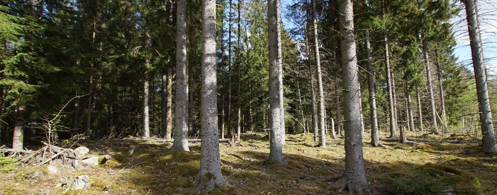 Rättsförhållanden Fastighet: Fastighetsbeteckningen är och fastigheten är belägen i Falköpings kommun, Floby församling. Skattetal: 1/4 mantal.