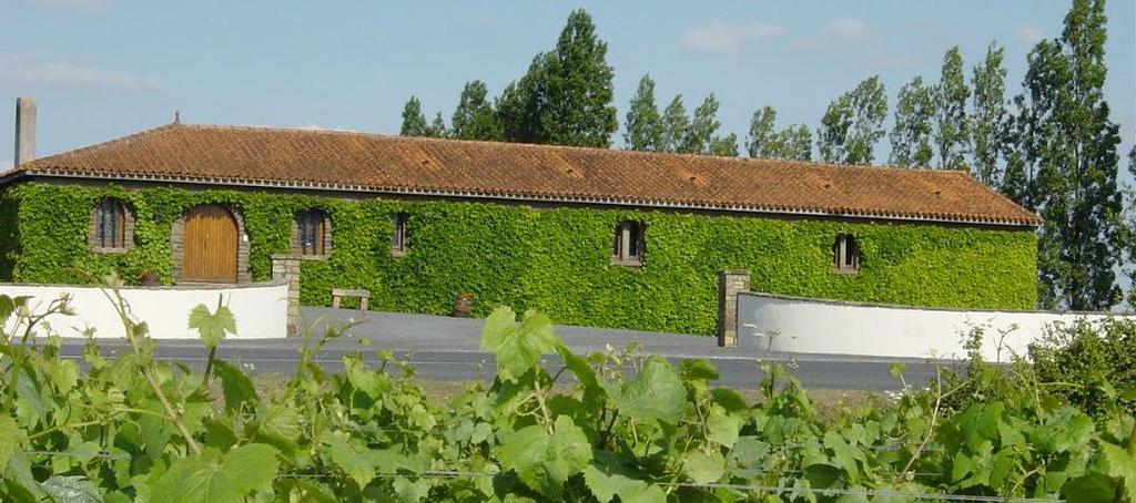Loire och Champagne 4/10 14/10 2019 Dag 1: 4/10 Vi flyger via Amsterdam till Nantes där vår svenska buss möter upp och kör oss de 4 milen till vårt hotell Best Western Plus Villa Saint Antoine i