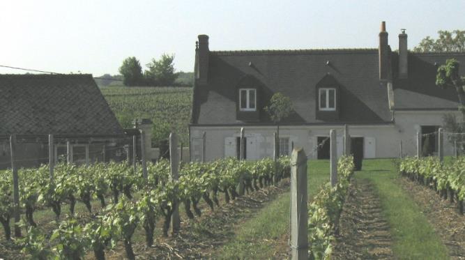 Huset Taittinger är det tredje äldsta ännu verksamma specialiserade Champagnehuset.