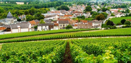 Sevärt i Épernay är des caves de champagne som är tunnlarna under Avenue de Champagne där champagneflaskorna lagras. Här ligger cirka 300 miljoner flaskor av olika märken.