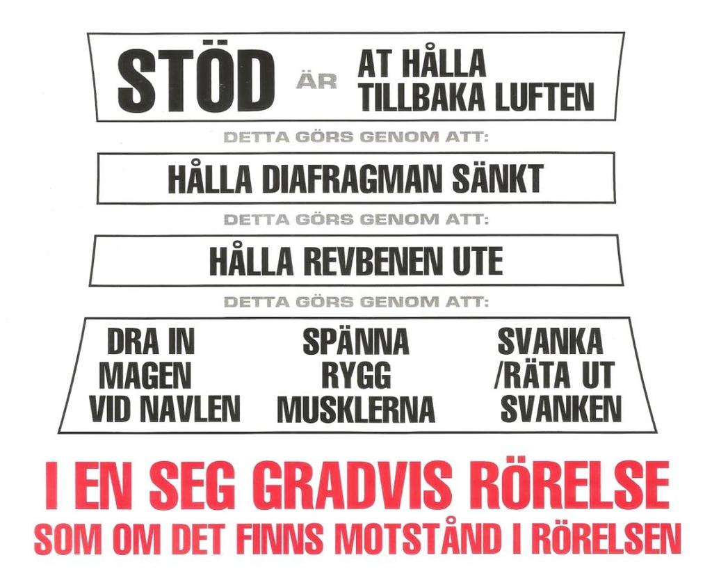 ryggmuskulatur och magmuskulatur för att hålla revbenen utvidgade och diafragman sänkt i stödarbete