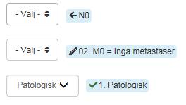 Uppgifter till cancerregistret Både Anmälan och Histopatologi primärtumör innehåller uppgifter som ska överföras till tumörpost i cancerregistret och detta underlättas av den inbyggda