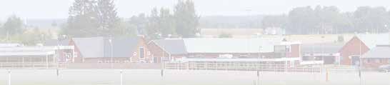 400 Proana Laday e Meadow Gallant Tobias Modig Ö 4/4-8/00 6,7ag c c 9,49 0' Uppf: Aulin Lars-Erik, Lindesberg Tobias Modig År 4/4-9 /40 5,9 c c 4,08 0' Äg: Aulin Lars-Erik, Lindesberg Tobias Modig Mp