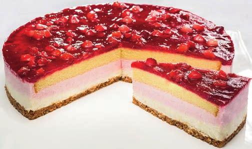 1900-g-Torte 0,49 9 0,56 2 2801041002 GIGANT