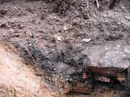 Slutsats Den kokgrop som framkom vid undersökningen daterades till perioden 980 BC 810 BC (2Σ). Kokgropen var tydligt överlagrad av det kulturlager som fanns fläckvis bevarat i området.