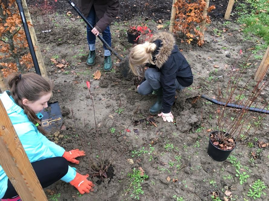 Landskapsarkitekterna Felicia Sällström och hennes kollega Victoria Andersson fanns på plats från Markentreprenad och de hade mycket pedagogiskt sorterat och märkt ut på utomordentliga tydliga kartor