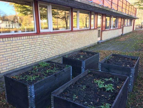 Utekök Uteköket har reducerats till fyra stycken odlingslådor.