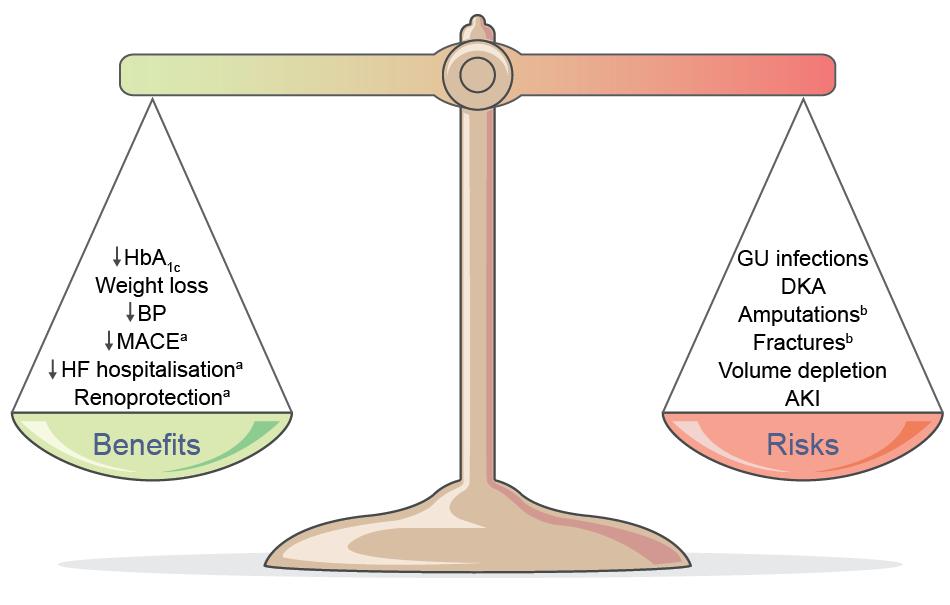 Vinster och risker med SGLT-2 hämmare a Empagliflozin, canagliflozin b Canagliflozin Lupsa and Inzucchi