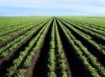 digestate: Aquatic sector; Industry ; Storage,