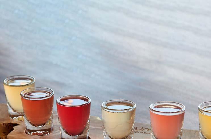KOMBUCHA 41,4 cl Humm 21 00 Ord. 25:00 Kombucha är ett fermenterat te som använts i tusentals år i Asien.