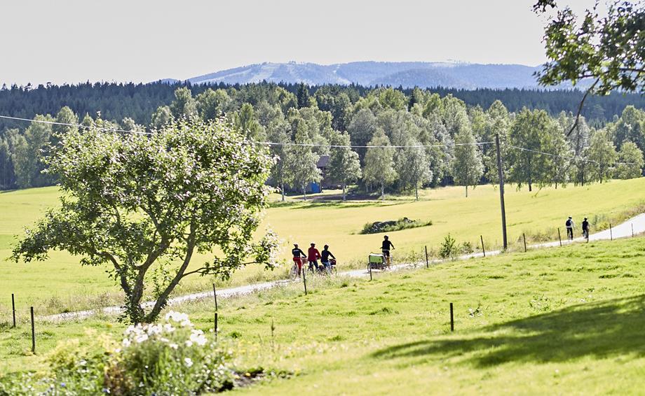 Störst potential Mountainbike (Stig och