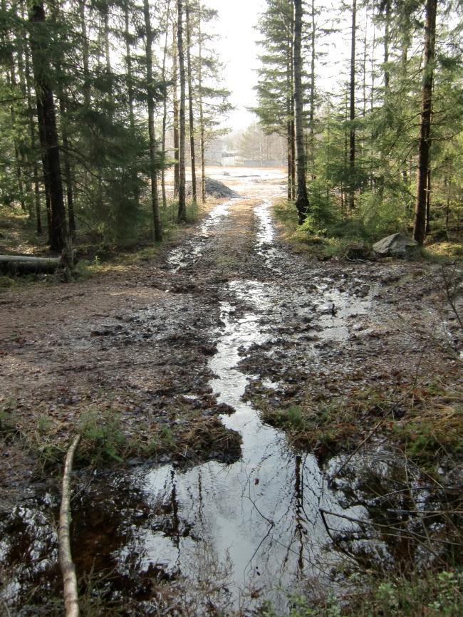 Figur 8 Avvattning från planområdet via fastighet Töcksmarks-Bön 1:424, sett från nordvästra delen av planområdet. 3.5.
