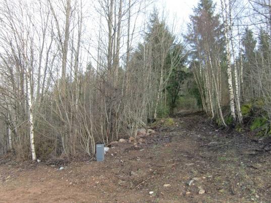 Figur 5 Bilder tagna vid platsbesök 2015-03-02. Nederbörden som faller på planområdet idag tas till viss del upp av träd och annan vegetation. En del avdunstar.