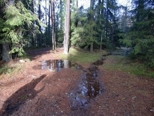 Inom området finns ingen ordnad avvattning. Planområdet avvattnas huvudsakligen i tre riktningar (figur 6). Ca 5,7 ha rinner söderut med utloppspunkt i en DN1000-trumma under E18 (figur 6 och 7).