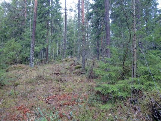 Sannolikt når det befintligt dagvattenledningsnät (DN300/DN400) i Industrivägen som, via en DN400-ledning under E18, leder dagvattnet vidare till ett öppet dike ca 200 m söder om planområdet.