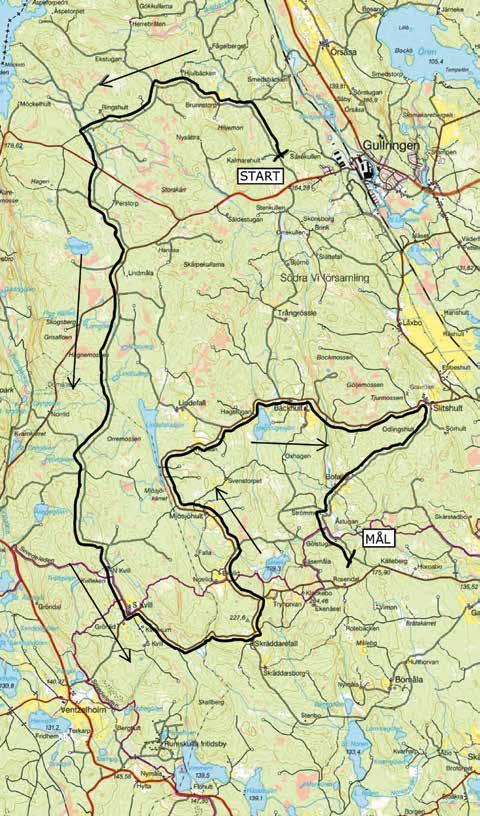 Tryhorva norr om Skräddarefall, vinkelsvängen med chikan på asfalt vid