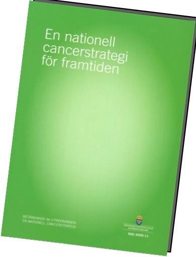 Vision RCC Norr: Likvärdig och