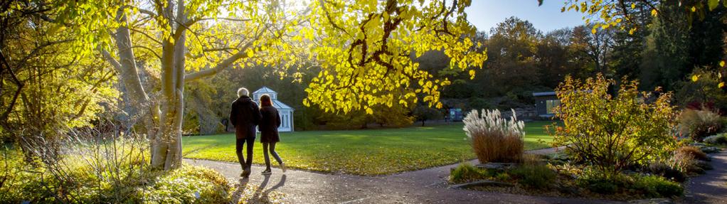 KLIMAT, MILJÖ OCH HÅLLBAR UTVECKLING KLIMAT, MILJÖ OCH HÅLLBAR UTVECKLING Bättre luftkvalitét i Göteborg Göteborg har under flera decennier arbetat aktivt för att ständigt förbättra stadens