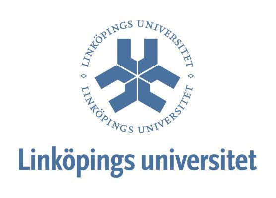 Institutionen för industriell och ekonomisk utveckling Magisteruppsats Internationella Civilekonomprogrammet Vårterminen 2011 Investeringsstrategier för en bransch i motvind - Exempelbransch