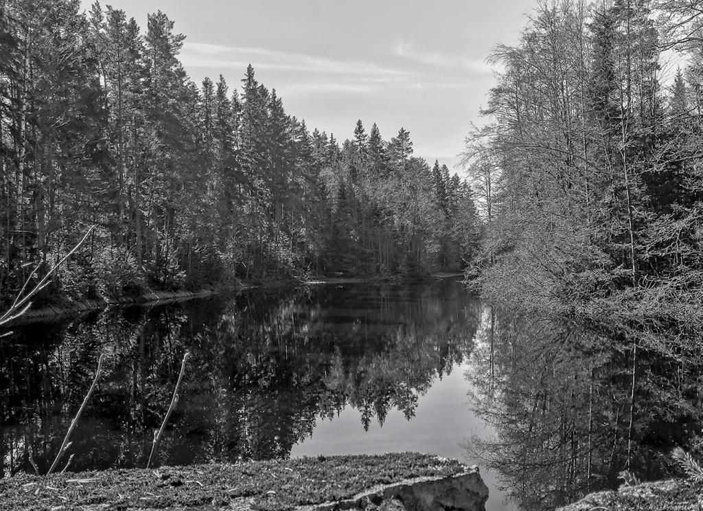 På strövtåg i hembygden Efter en lång vinter är det alltid härligt att ge sig ut i skog och mark och se hur det spirar.