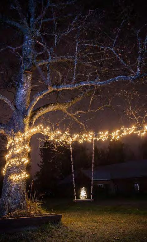 DARKNESS IS A PERFECT BACKGROUND. ere in our Nordic countries, it is easy to get inspired by illumination almost throughout the year.