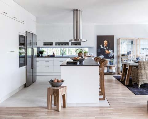 HUSMODELL SPECIAL HUSMODELL BRILJANTEN ARVID