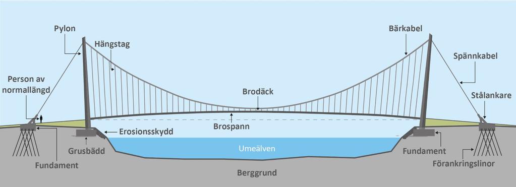 En hängbro är en bro som består av två par pyloner, en på var sida om brospannet, med två bärkablar spända mellan dem. Brobanan hänger i vertikala hängstag som hänger från bärkablarna.