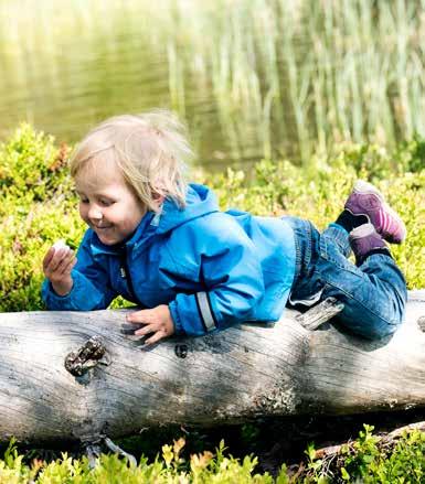 Verkställande utskottet har löpande haft avstämningsmöten och möten med regionsordföranden vid ett flertal tillfällen för dialog kring operationella frågor såväl som utvecklings- och strategifrågor.