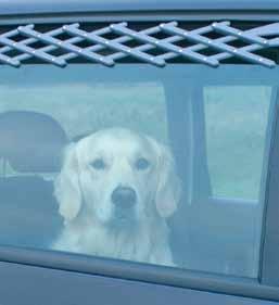 Ventilerar frisk luft i bilen. Kom ihåg! Lämna aldrig hunden i bilen när det är varmt ute, temperaturen stiger fort. Rek Ca.