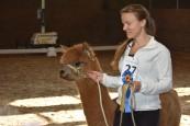 Fawn Huacaya Champion Fawn Sto 027 Kusipacha Maya Morissette Reservchampion Fawn Sto Inte utdelad Klass 126 Fawn Vuxen, Sto 027 Kusipacha Maya Morissette Född: 2016-06-20 Moder: Kusipacha Euphoria