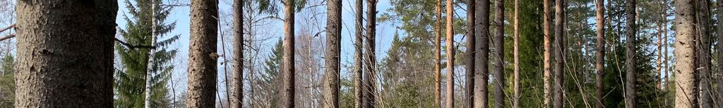 fastighet på grund av storleken samt att den är