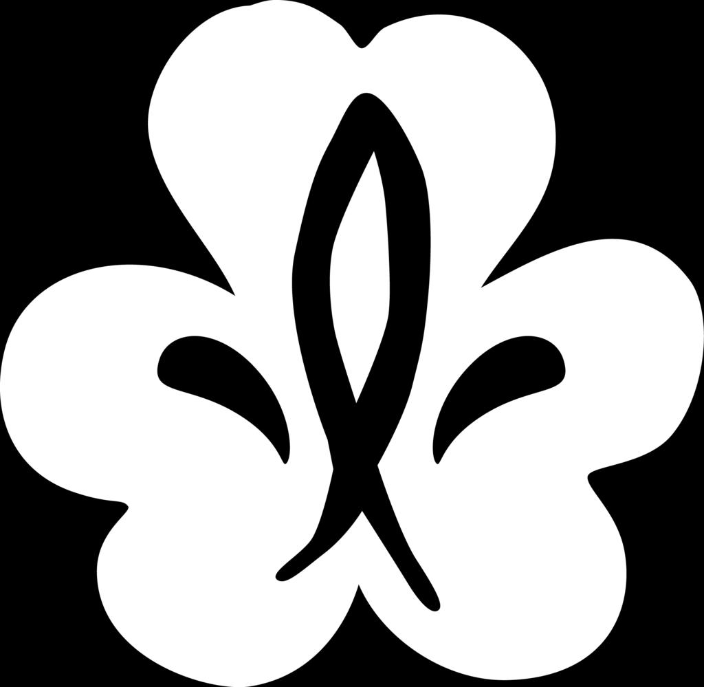 Aktuellt i CKU: Scout Scouterna har under våren temat "Wild Scouts" - ett tema som tagit sin inspiration från det populära tvprogrammet Wild Kids.