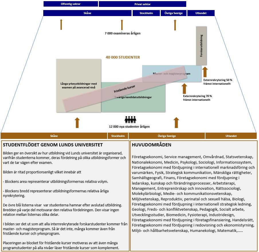 Figur 1 Schematisk bild över studenternas väg