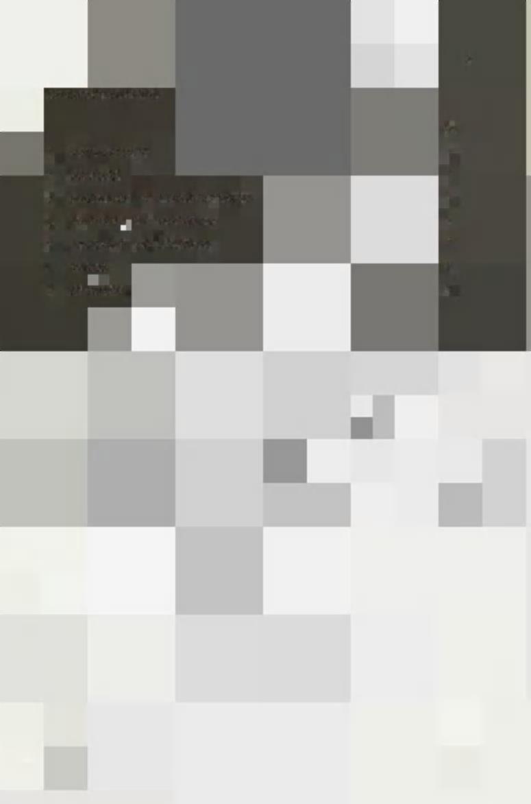 INNEHALLSFÖRTECKNING Sid 1. SAANFATTNING 3 2. INLEDNING 4 3.