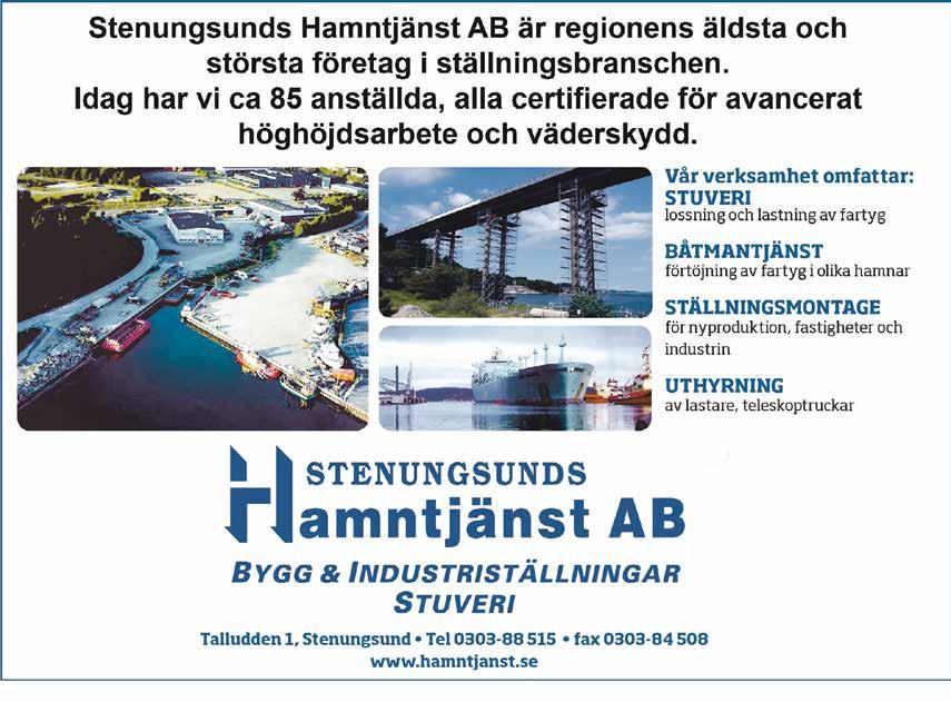 Trots den tuffa starten, kunde den största delen av flottan ta sig i mål i förhållandevis behagliga vindar.