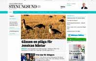Tjörn Runt vill bidra till att minska miljöförstöringen.
